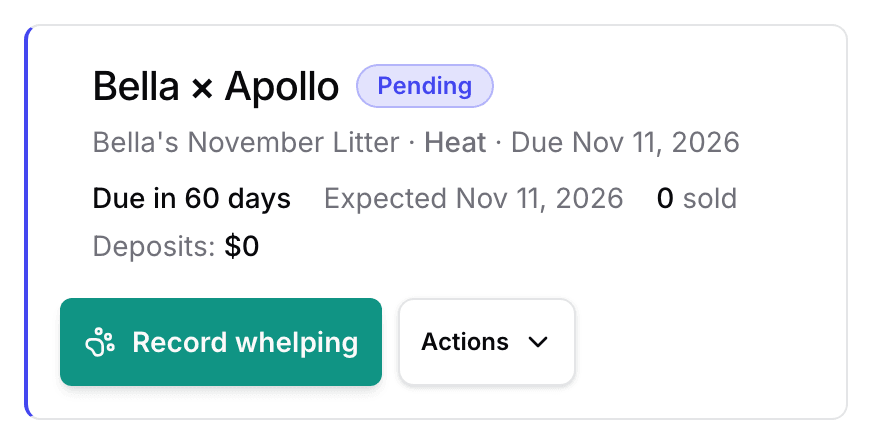 The top of a new litter page: the dam and sire, a Pending badge, the days until it is due, and the Record whelping button.
