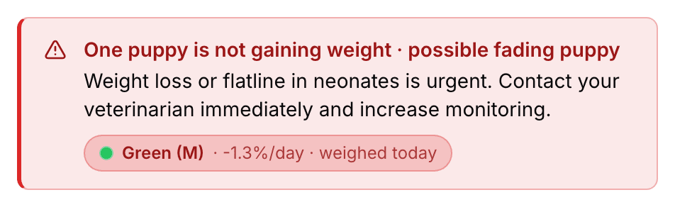 The red box above a litter page's tabs: One puppy is not gaining weight · possible fading puppy, with a link to Green and how fast he is losing.