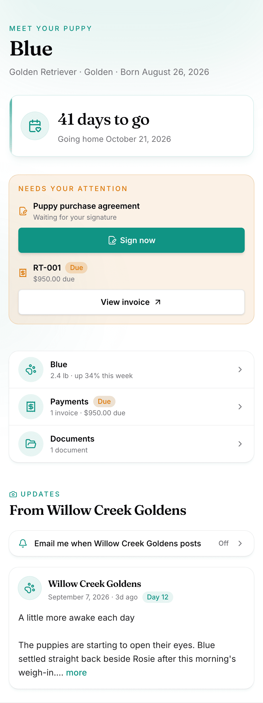 The buyer's portal on a phone: their puppy, the countdown to go-home day, what needs them, and the breeder's latest update.