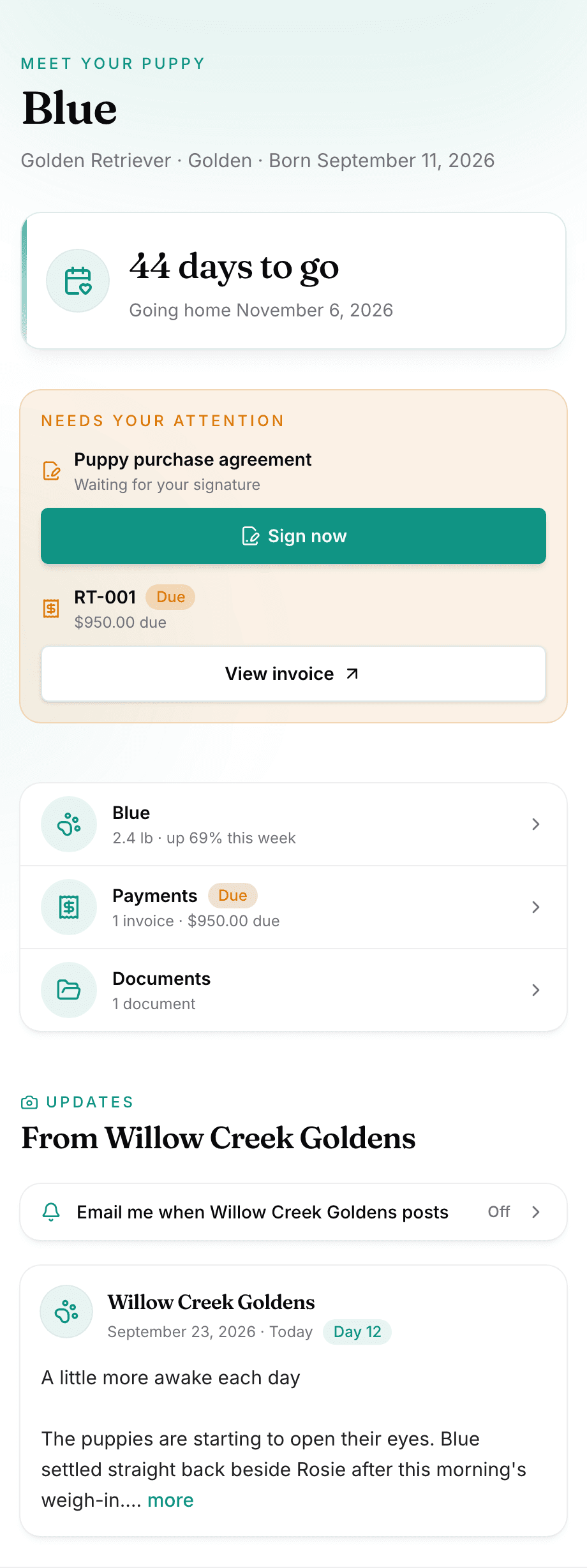 The buyer's portal on a phone: their puppy, the countdown to go-home day, what needs them, and the breeder's latest update.