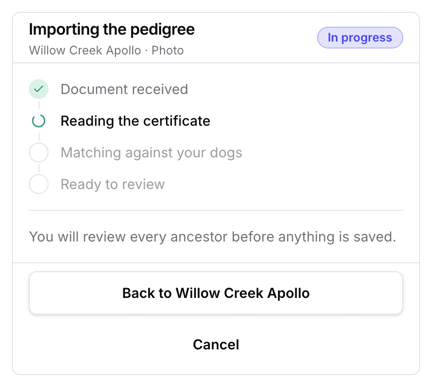 The Importing the pedigree panel: the dog and document line, an In progress badge, and the four stages with the reading underway.