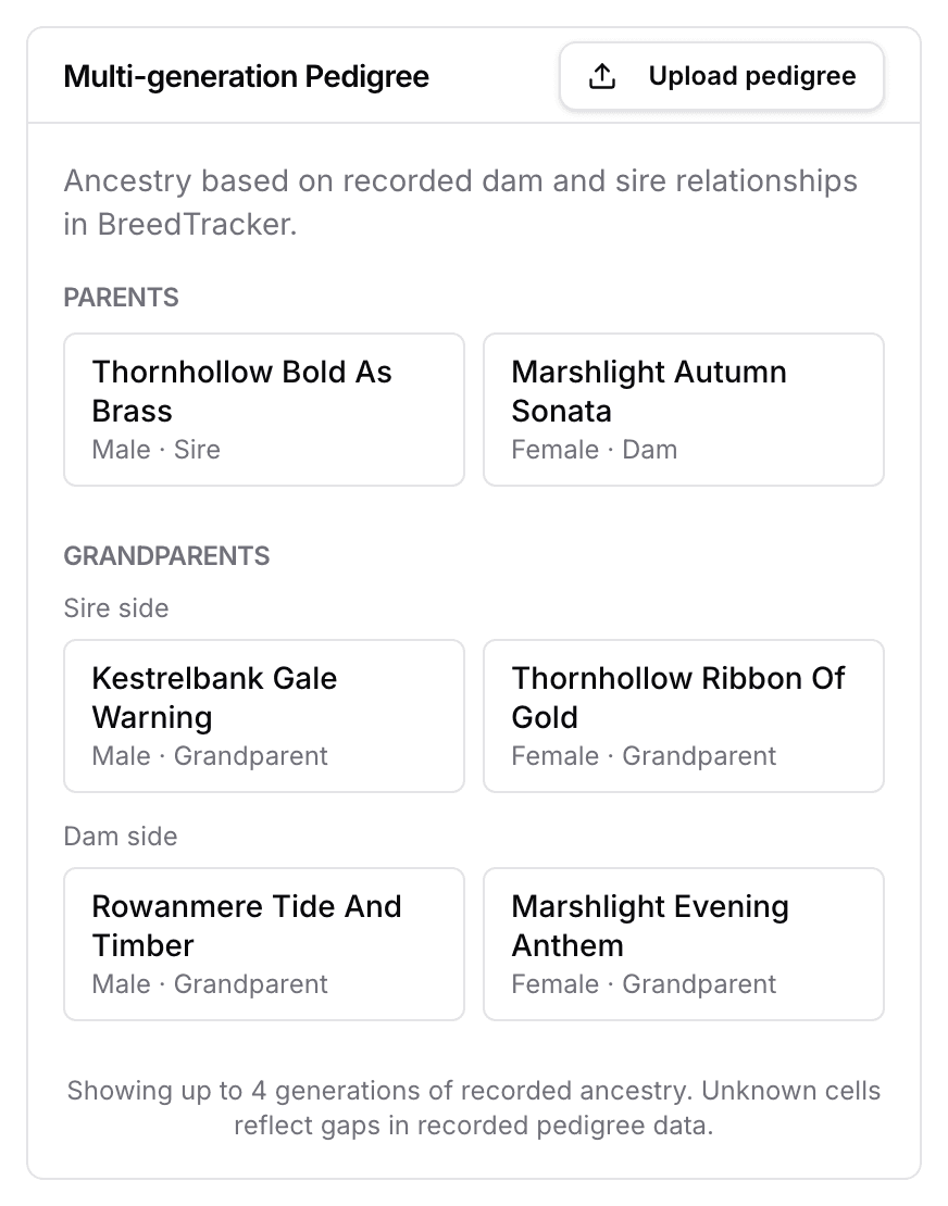 A dog's Multi-generation Pedigree card after an import: both parents and all four grandparents, each with its sex and place in the pedigree.
