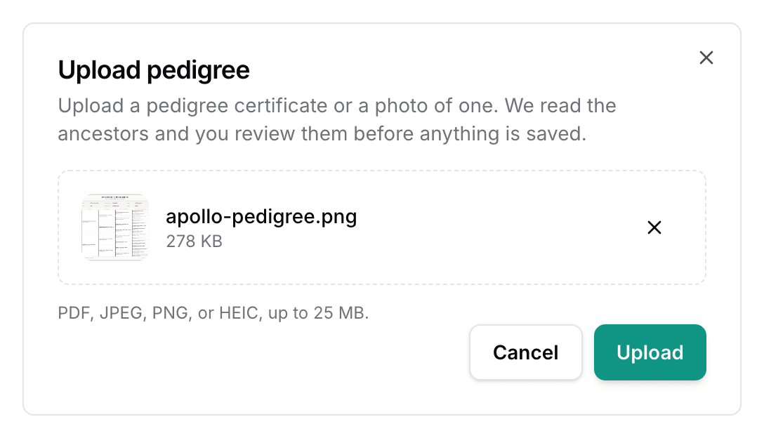 The Upload pedigree sheet with a certificate chosen: the file and its size, the accepted formats, and the Upload button.