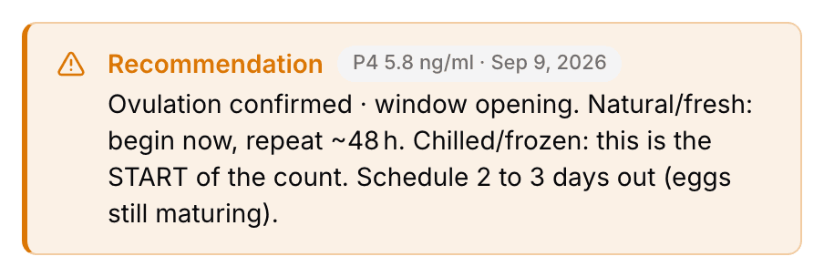 The Recommendation box on a heat page, showing the latest progesterone level and what to do next.