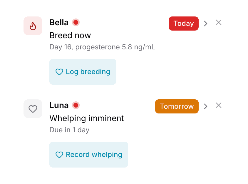 The first two rows of the Needs Attention panel on a phone: each names the dog, what needs doing, when it is due, and the button that clears it.