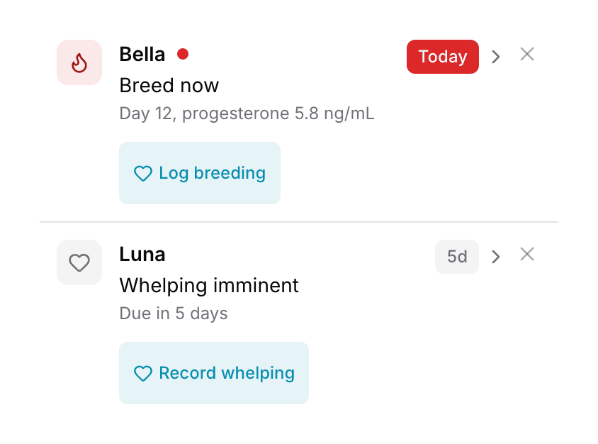 The first two rows of the Needs Attention panel on a phone: each names the dog, what needs doing, when it is due, and the button that clears it.