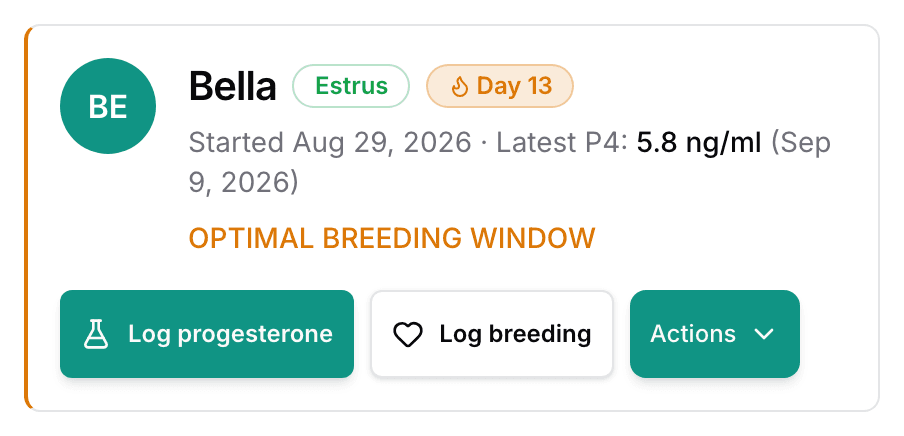 The top of a heat page: the female's name beside the cycle stage and the day of the cycle, with the Log progesterone and Log breeding buttons.