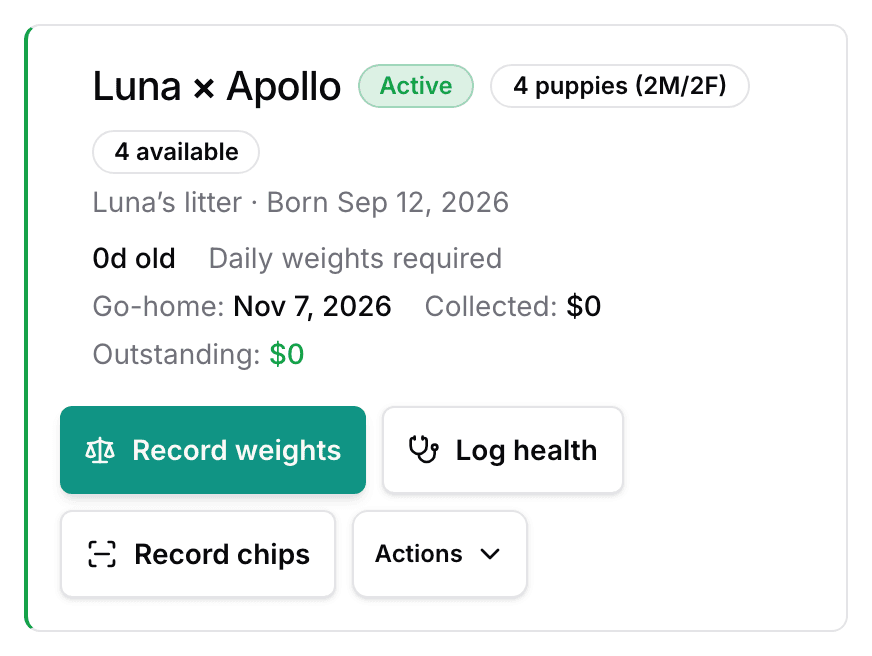 The top of a litter page just after whelping: the Active badge, the puppy count by sex, the birth date, and the Record weights button.