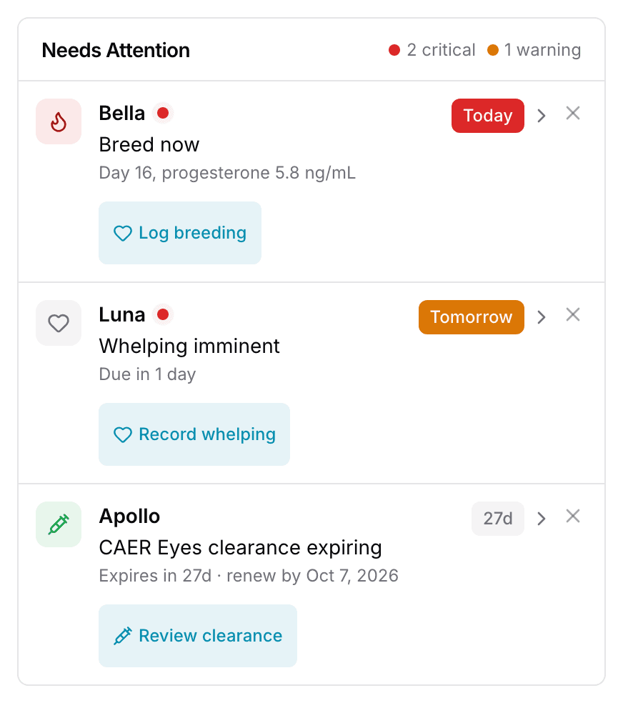 The Needs Attention panel on a phone: one card per row with the dog, what needs doing, when it is due, a button, and an X to dismiss.