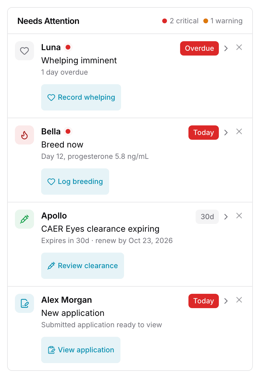The Needs Attention panel on a phone: one card per row with the dog, what needs doing, when it is due, a button, and an X to dismiss.