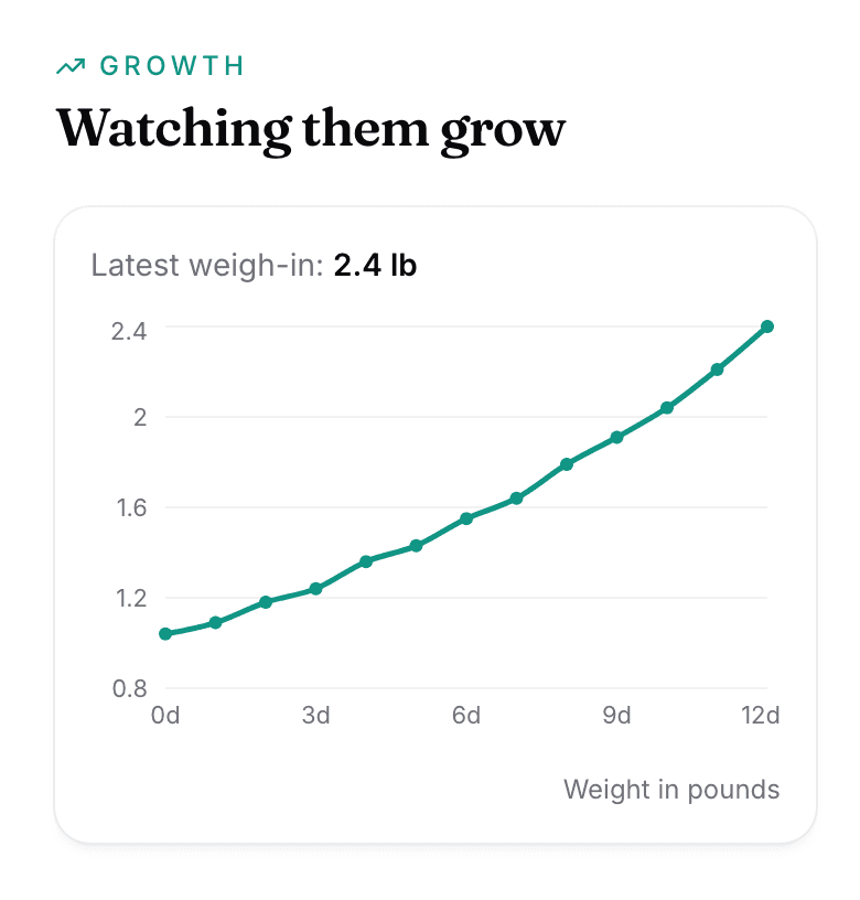 The Growth section of the buyer's puppy page: Watching them grow, the latest weigh-in, and a weight line rising over twelve days.