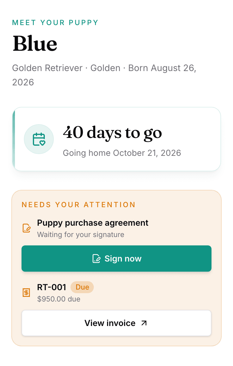 The top of the buyer portal on a phone: Meet your puppy over the puppy's name, a 40 days to go countdown, and the Needs your attention band.