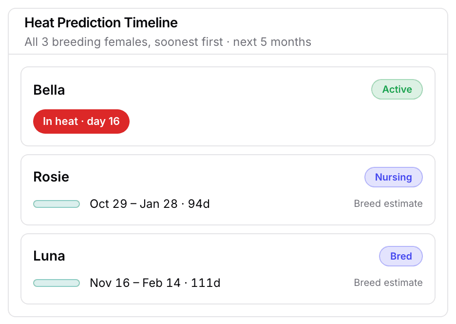 The Heat Prediction Timeline on a phone: one row per female, with a window swatch, the date range, the days to go, and Breed estimate.
