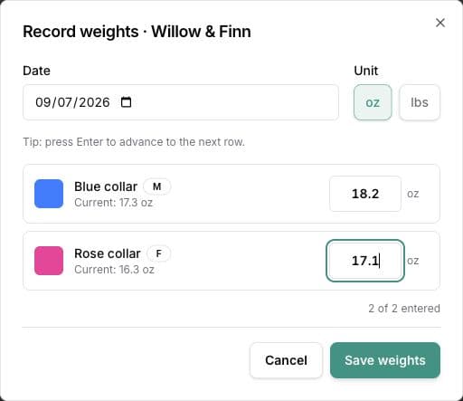 Synthetic BreedTracker example: dated weight entry for Blue and Rose collar puppies, in ounces